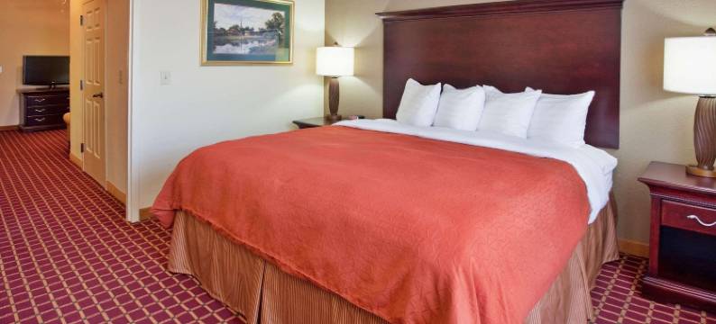 哥伦比亚丽怡酒店(Country Inn & Suites by Radisson, Columbia, SC)图片