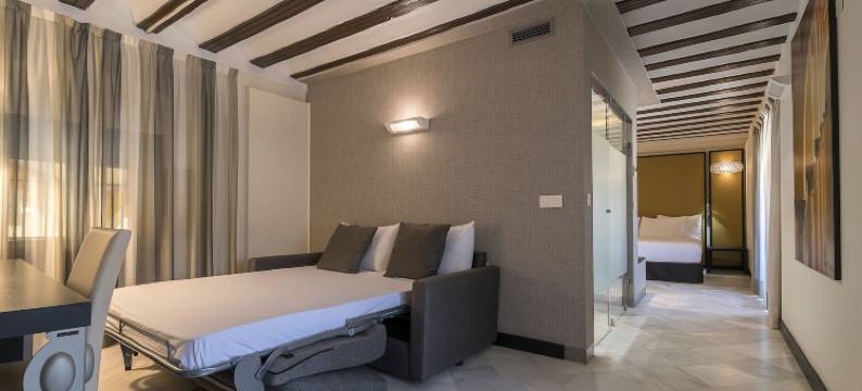 欧洲之心亚利松侯爵宫(Hotel Palacio Marqués de Arizón)图片