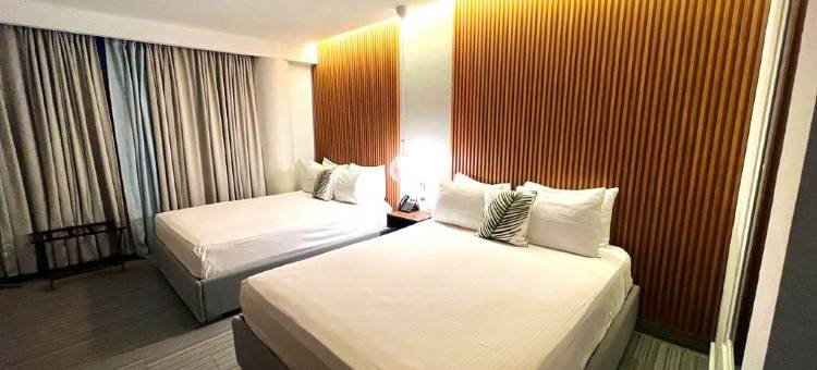 阿尔克米亚酒店(Alkquimia Hotel)图片