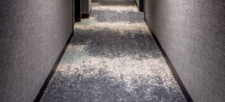 费城市区雅乐轩酒店(Aloft Philadelphia Downtown)图片