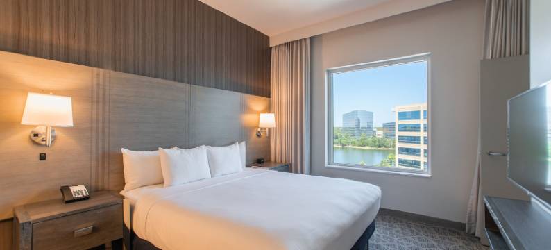 哈格斯兰丁伍德兰斯希尔顿安泊酒店(Embassy Suites by Hilton the Woodlands® at Hughes Landing)图片