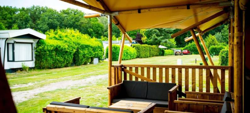 临近朗斯和杜伦斯丘的舒适帐篷小屋(Apartment in Netherlands Near Nature Trails)图片