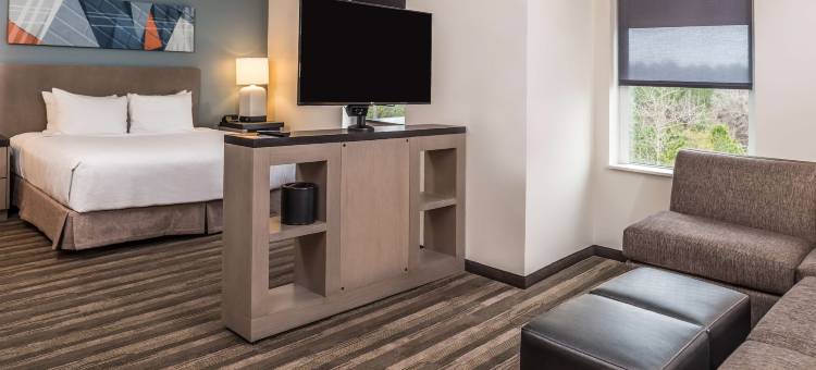 罗利/罗利-达勒姆国际机场/布赖尔溪凯悦嘉寓酒店(Hyatt House Raleigh/Rdu/Brier Creek)图片