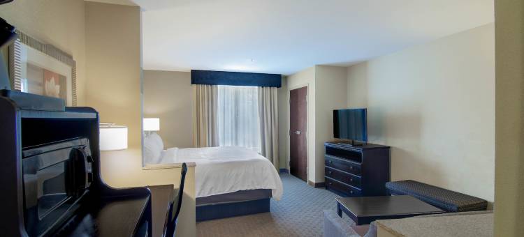 南阿拉巴马大学区舒适套房酒店(Comfort Suites Mobile-South Alabama University Area)图片