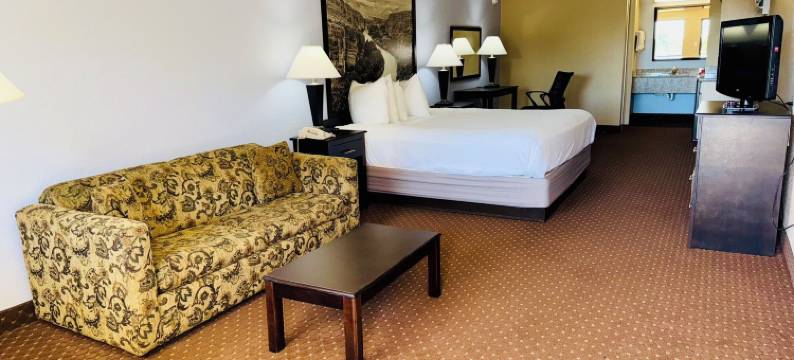 乡村酒店及套房 - 纽布朗费尔斯/ 格鲁恩(Hill Country Inn & Suites - New Braunfels / Gruene)图片