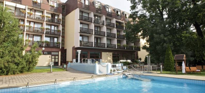 恩萨纳温泉沙尔堡酒店(Ensana Thermal Sárvár)图片