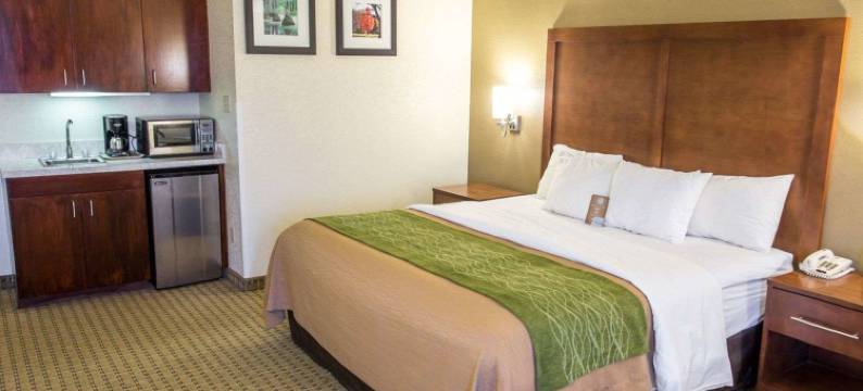 哈蒙德舒适酒店(Comfort Inn Hammond)图片