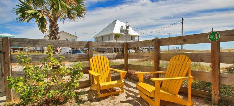 梦想捕手(Dream Catcher)图片