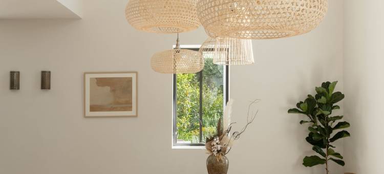 Y屋(The Y House)图片