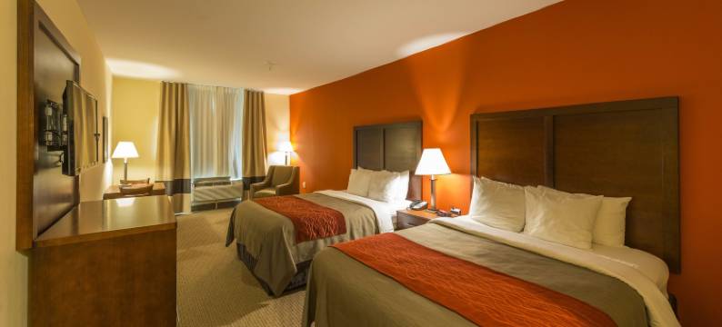 舒适酒店及套房维拉里卡(Comfort Inn & Suites Villa Rica)图片