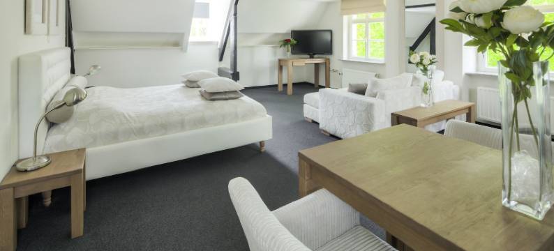 德纳瑞德卡斯迪尔酒店(Hotel Kasteel Doenrade)图片