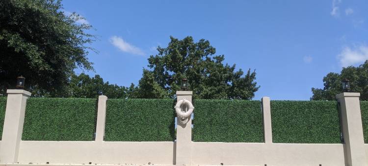 智选假日套房酒店奥斯汀圆石城(Holiday Inn Express & Suites Austin - Round Rock)图片