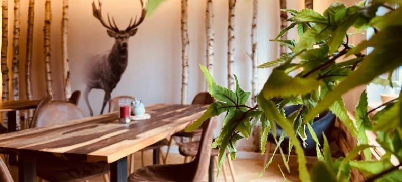 哈斯莱西登斯酒店(Hotel Harzresidenz)图片