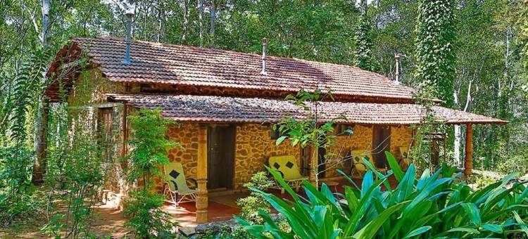 大象谷生态农场小屋(Elephant Valley Eco Farm Hotel)图片