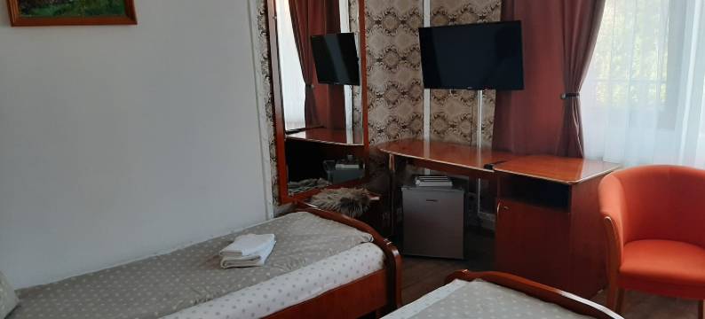 福图纳奥里别墅酒店(Vila Fortuna Auri)图片