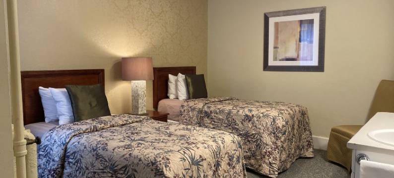 金士顿酒店(Kingston Hotel)图片