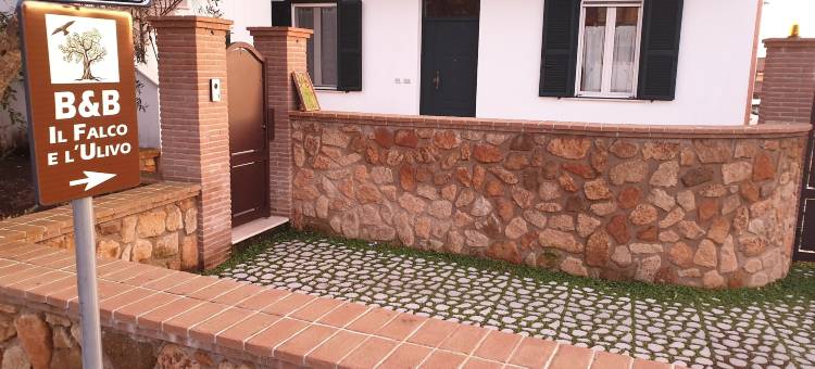 老鹰和橄榄树民宿(B&B Il Falco e l'Ulivo)图片