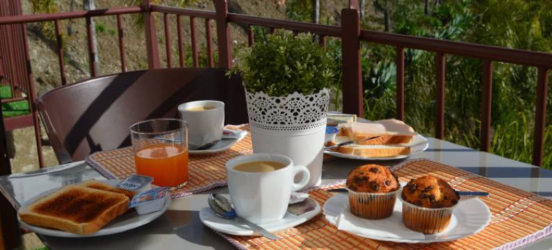 本托米兹阳台酒店(Balcones de Bentomiz)图片