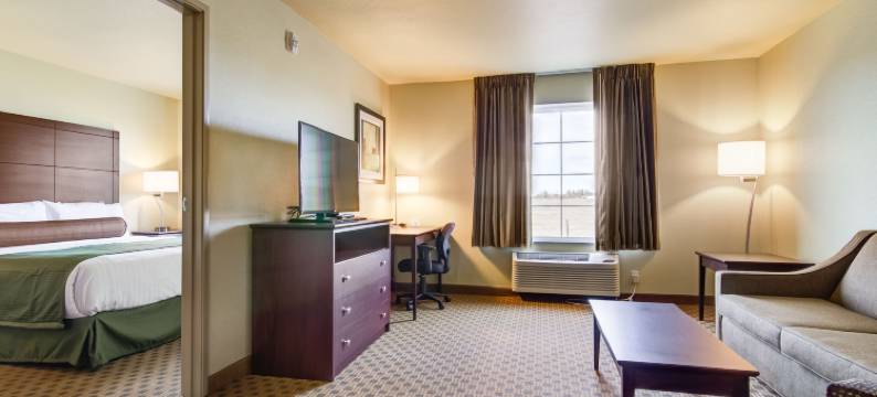 拉金鹅卵石套房酒店(Cobblestone Inn & Suites - Lakin)图片