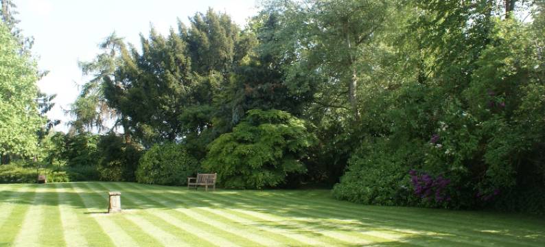 特里夫之家民宿(Trelough House B&B)图片