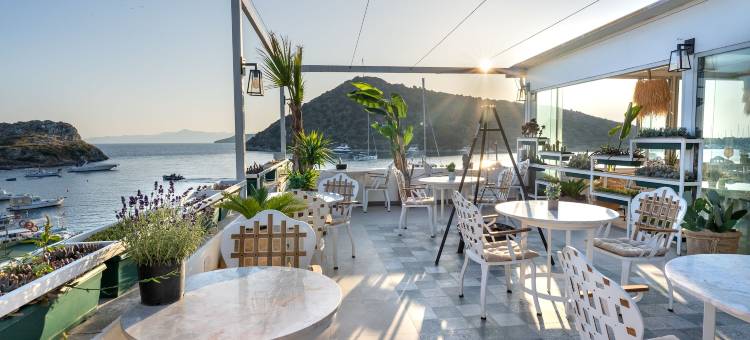 古穆斯卢克丽曼酒店(Liman Hotel Gümüslük - Adult Only)图片