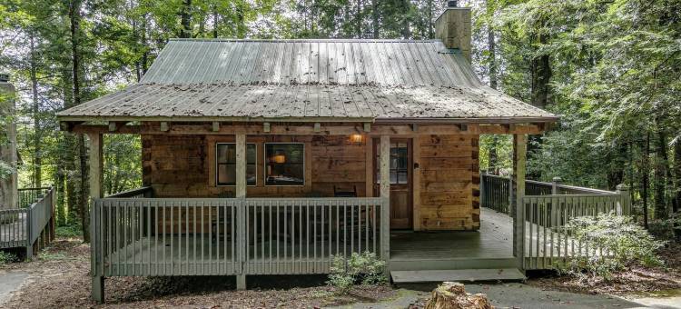 跳舞熊山林小屋(Dancing Bear Lodge)图片