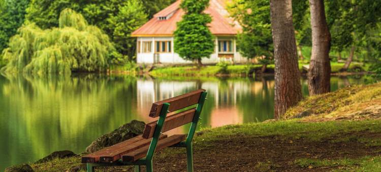 Mogosa村(Mogosa Village)图片