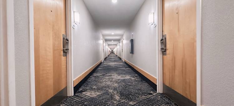 印第安纳波利斯南呗盟套房酒店(Baymont by Wyndham Indianapolis South)图片