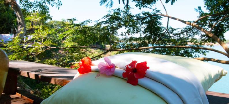 湄公鸟度假村(Mekong Bird Resort & Hotel)图片