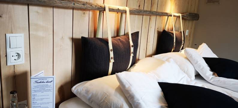 蒂罗姆斯酒店(Tiraholms Hotell)图片