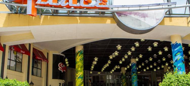 南迈阿密-科勒尔盖布尔斯罗德威旅馆(Rodeway Inn South Miami - Coral Gables)图片