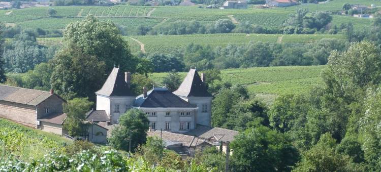伟大葡萄酒酒店(Logis Hotel des Grands Vins)图片