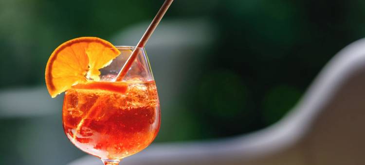 河谷贵族酒店(Hôtel Restaurant la Vallée Noble, Proche Eguisheim Colmar)图片