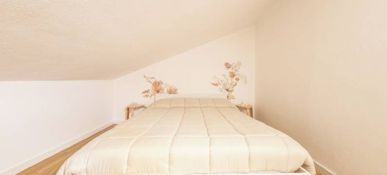 阿尔戈旅馆(Casa Argo Guest House)图片