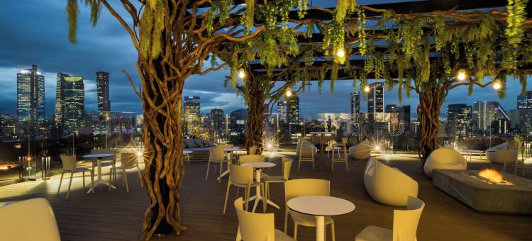 ULIV墨西哥城(ULIV Mexico City)图片