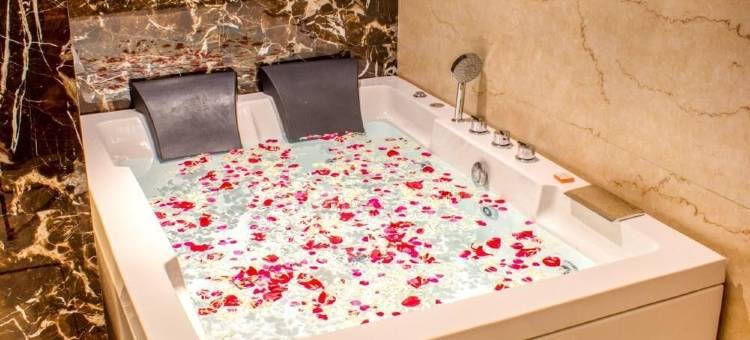 大使大酒店(The Grand Ambassador)图片