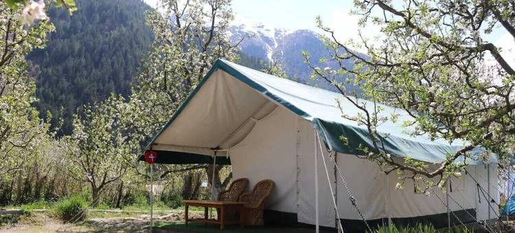苹果果园农场和露营地(Apple Orchard Farm and Camping)图片