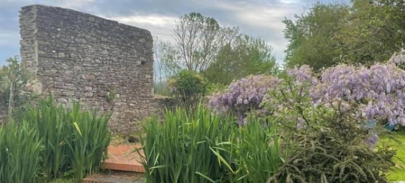 马库尔弗庄园(Domaine de Marculfo)图片