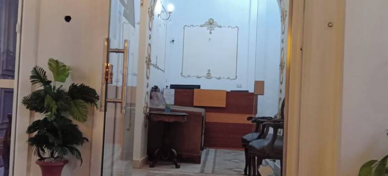 新全景酒店(New Panorama Hotel)图片