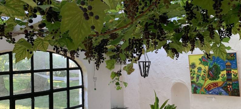 床铺与草原(Bäddar & Ängar)图片