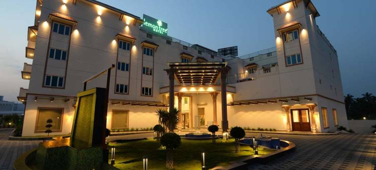 哥印拜陀柠檬树酒店(Lemon Tree Hotel Coimbatore)图片
