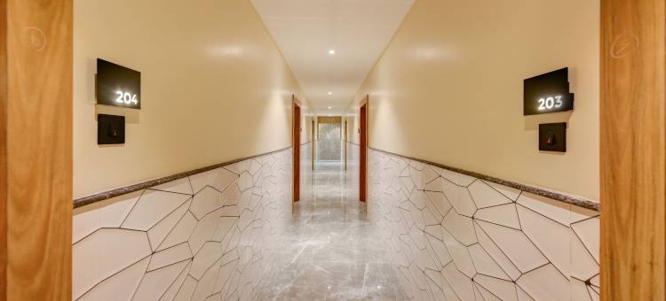 Treebo 阿斯玛市中心(Treebo Aasma Downtown)图片