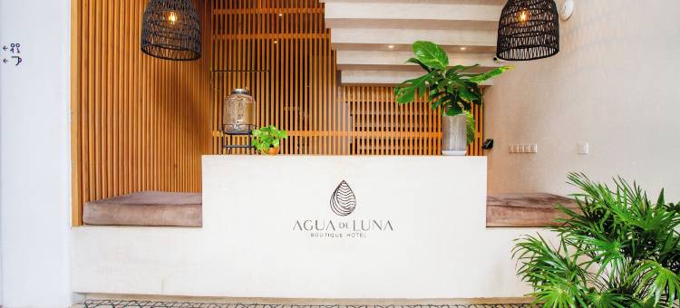 Agua de Luna精品酒店，圣潘乔纳亚里特(Agua de Luna Hotel Boutique, San Pancho Nayarit)图片