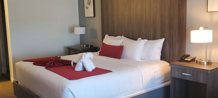 红杉汽车旅馆(Sequoia Inn)图片