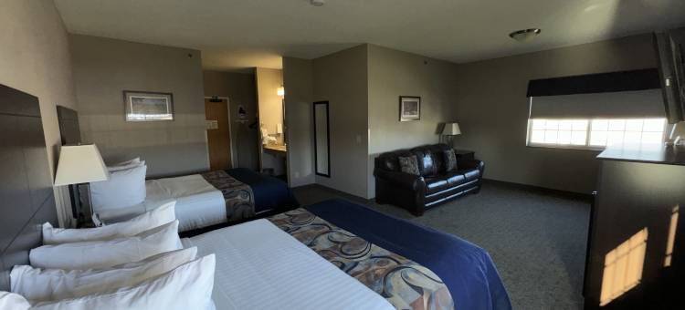 加纳酒店及套房(Garner Inn & Suites)图片