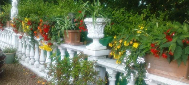 拉图尔·杜洛伊旅馆(Chateau la Tour du Roy)图片