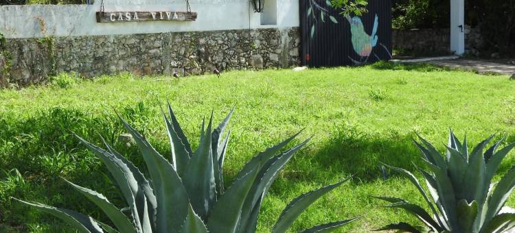 维瓦梅里达民宿(Casa Viva Mérida)图片