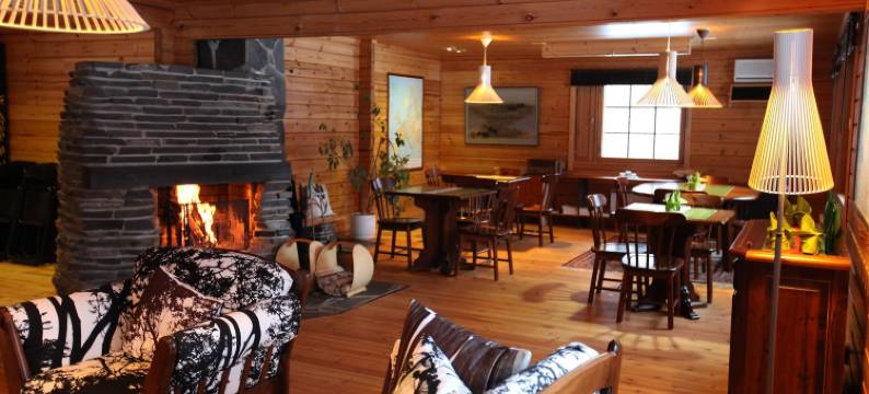 蓬卡哈尔尤哈皮玛格度假村(Hapimag Ferienwohnungen Punkaharju)图片