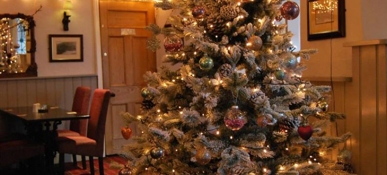 矿工阿姆斯酒店(The Miners Arms)图片