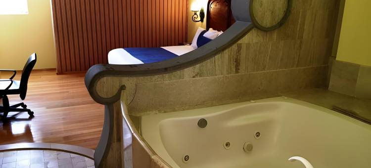 索卡洛中心酒店(Hotel Zocalo Central)图片